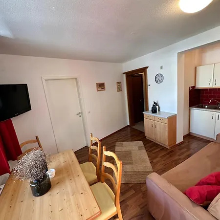 Διαμέρισμα Zentrum Lorenzin Gaschurn